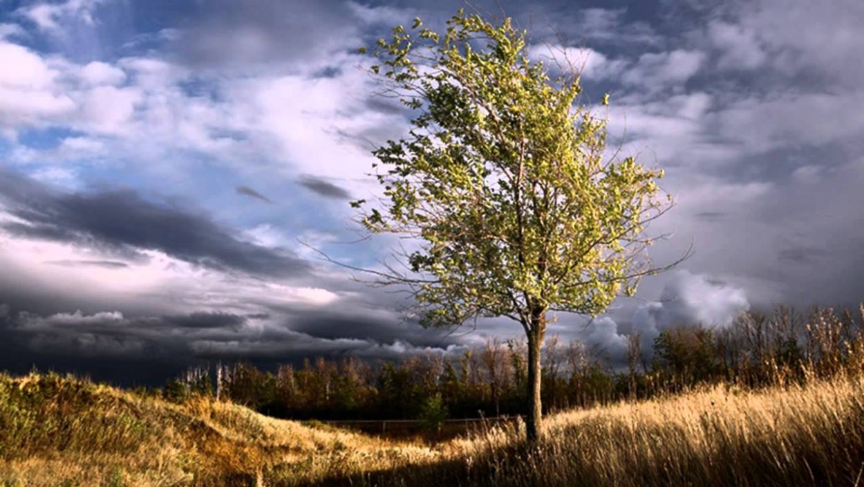 Пейзаж с ветром