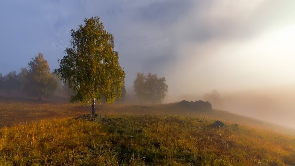 Осеннее поле в тумане
