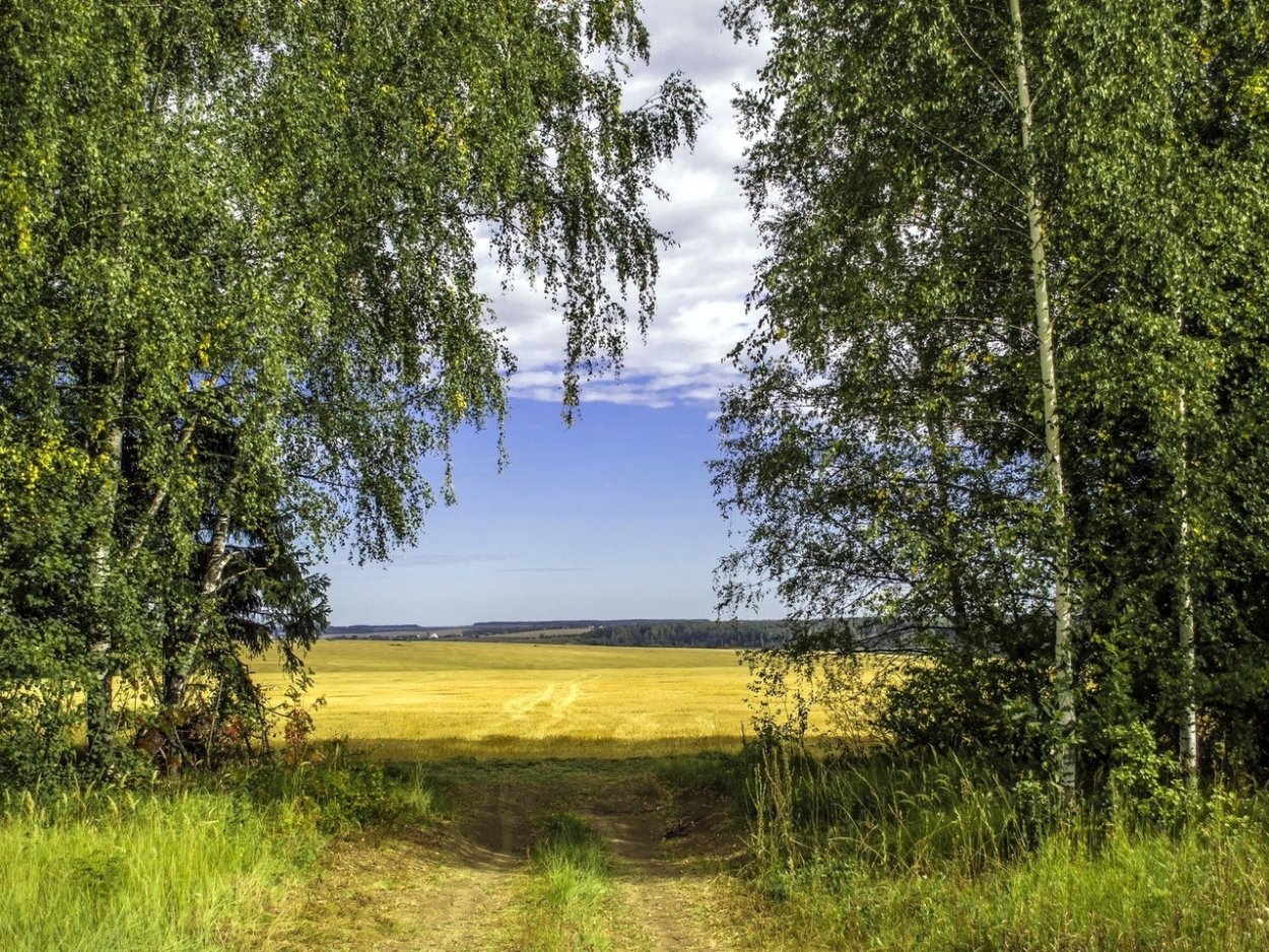 Курская область природа