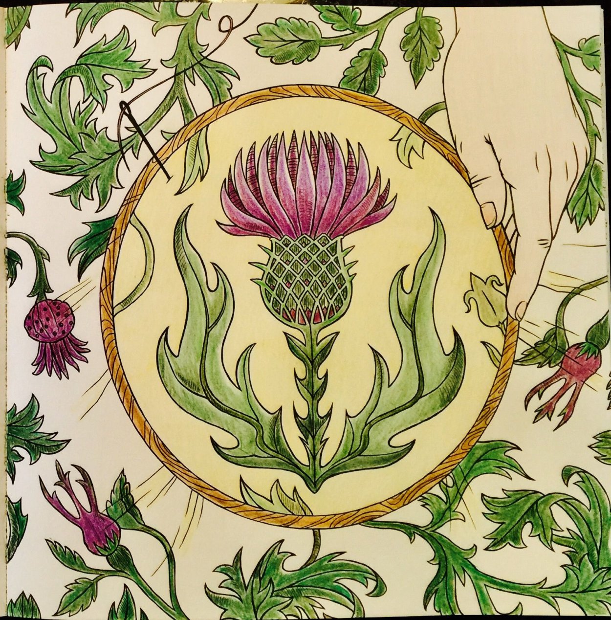 Пьюджин чертополох