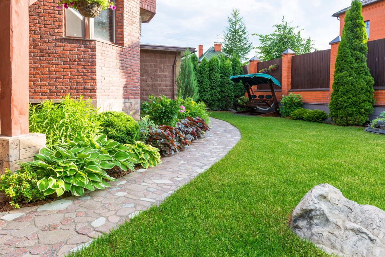 Газон вдоль забора