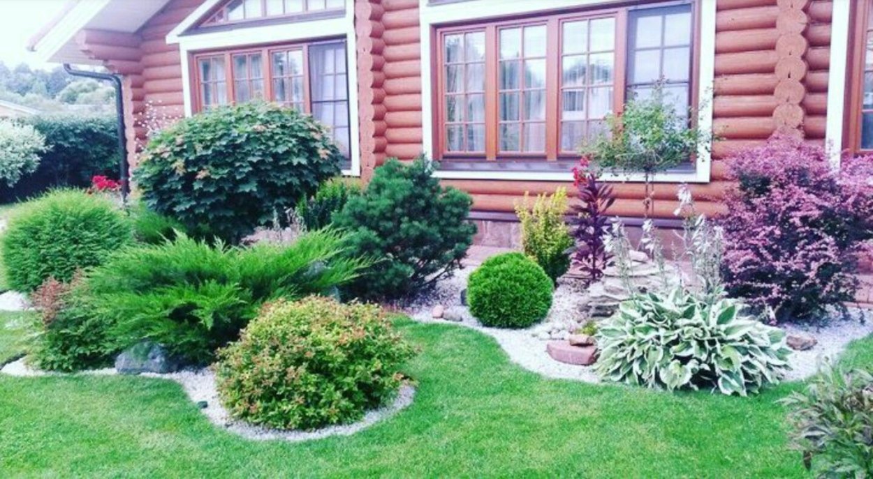 Палисадник Энфилд