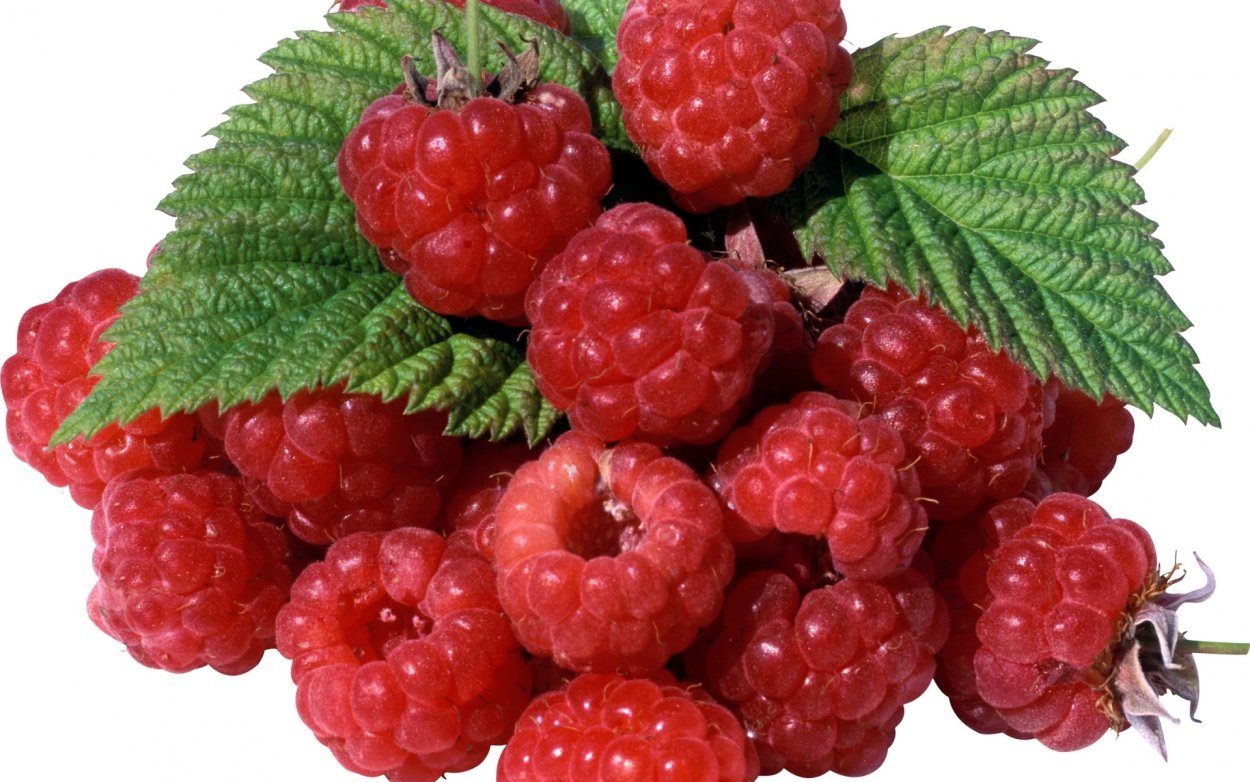 Клубника малина земляника