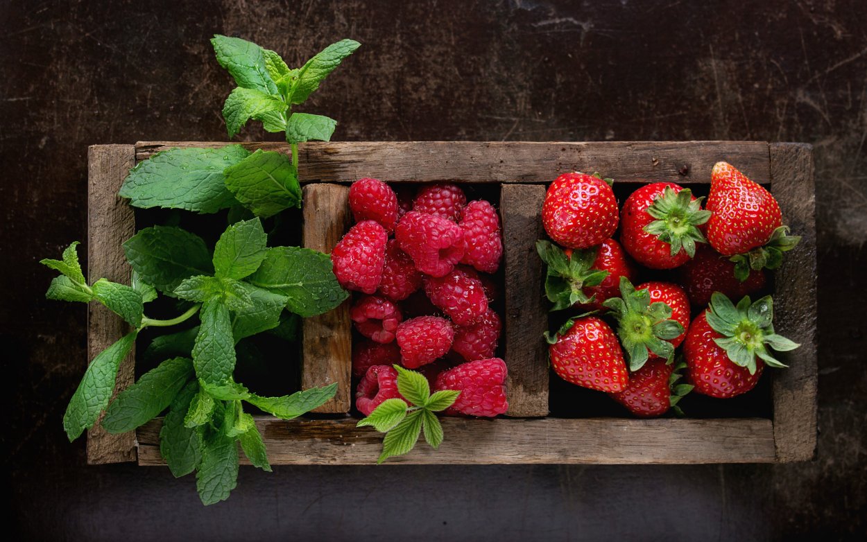 Малина в ладонях