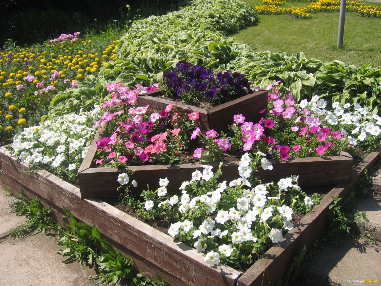 Оформление сада цветами
