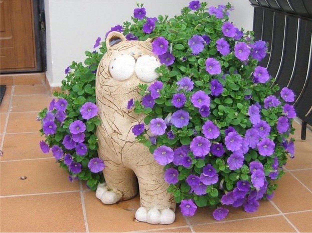 Контейнерные сады памелы Кроуфорд