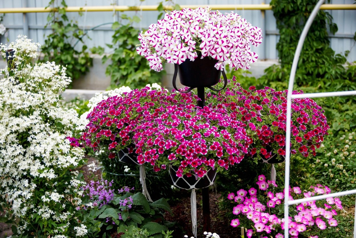 Красивые фоны для инстаграмма