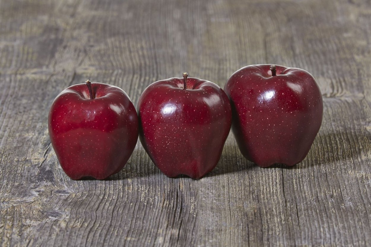 Яблоня Арбат колоновидная