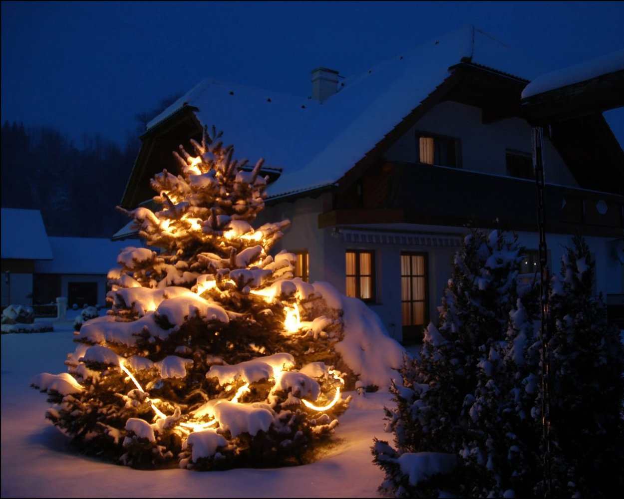 Дом в лесу зимой