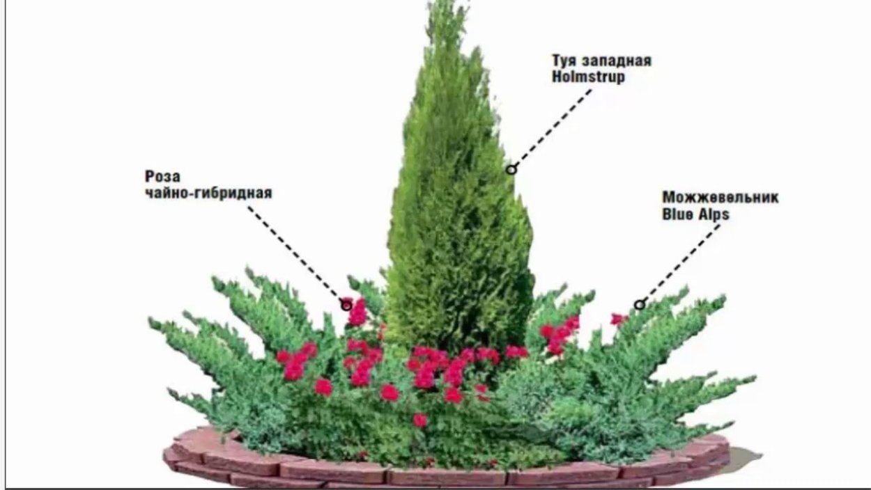 Клумба "Альпийская горка"