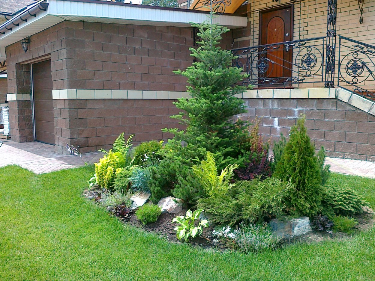 Цветник с хвойниками и многолетниками