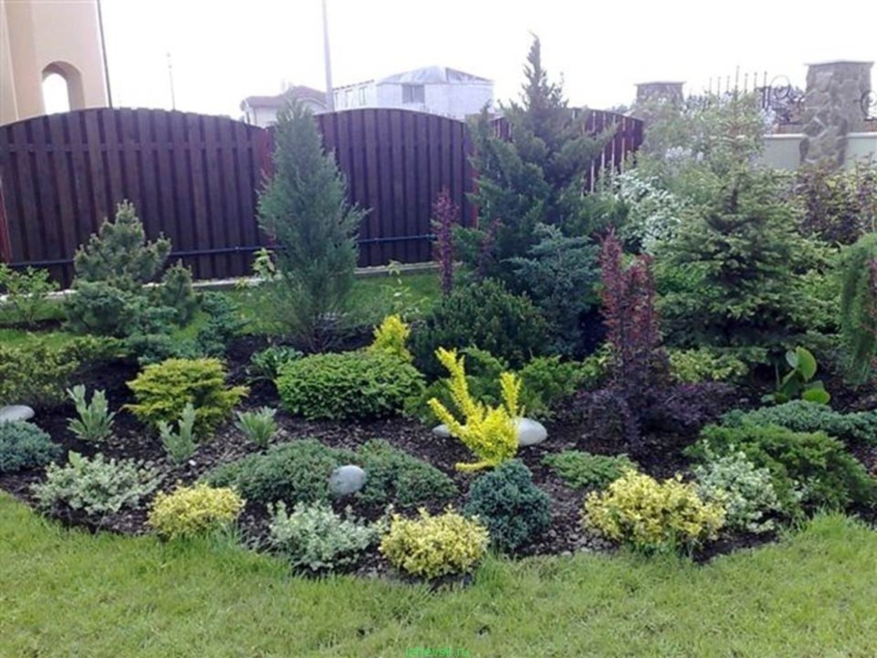 Миксбордер с елью и спиреей