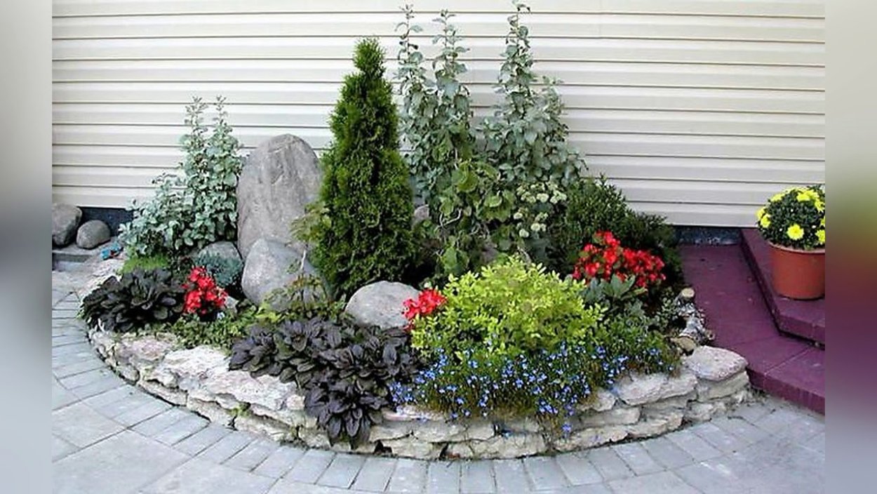 Теневой миксбордер можжевельником