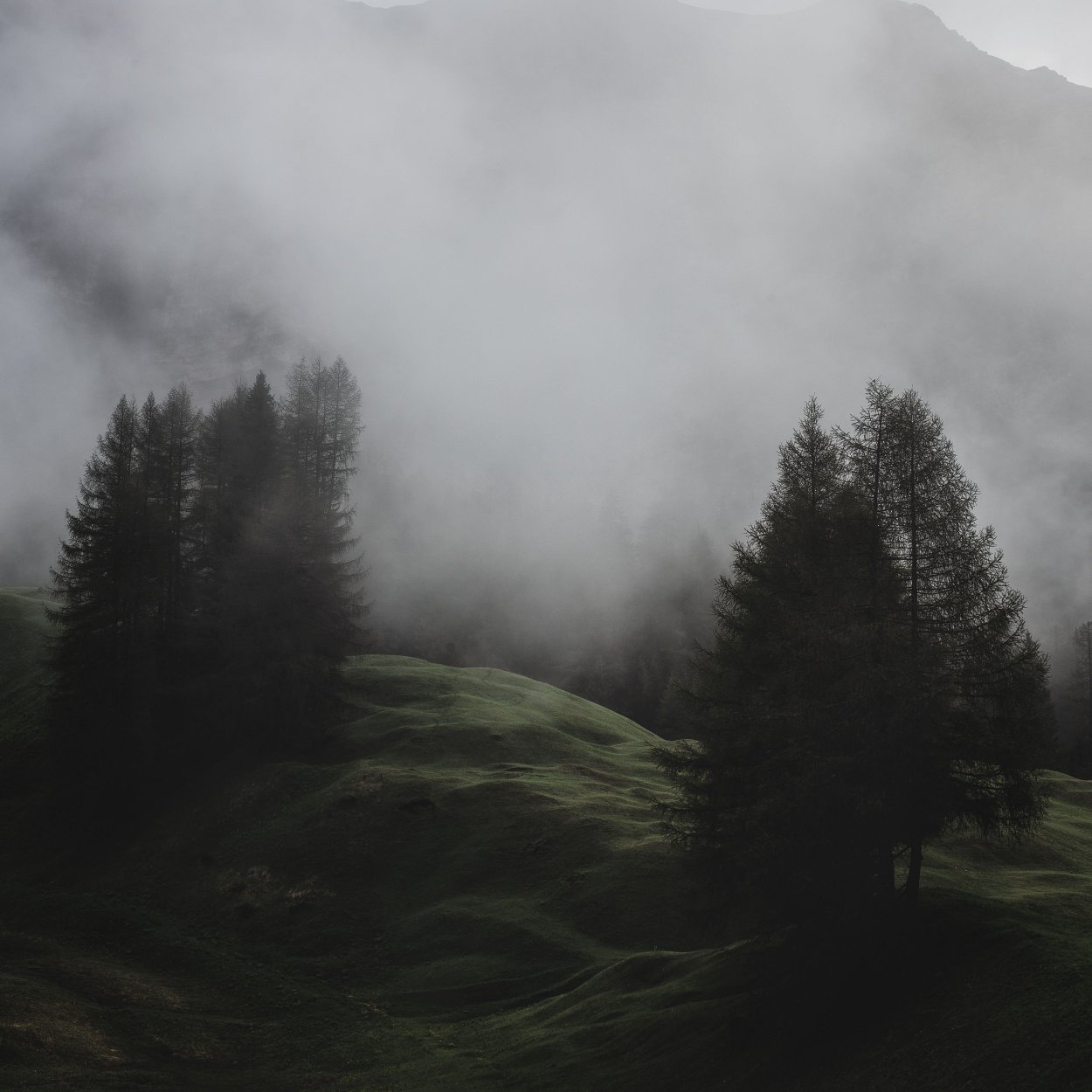 Угрюмый пейзаж