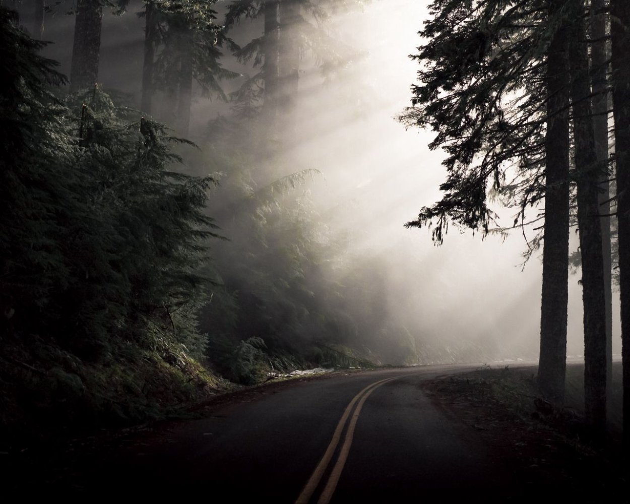 Мрачная Лесная дорога