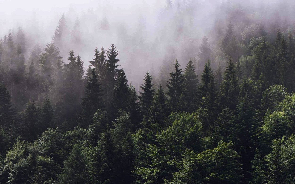 Мрачные картинки