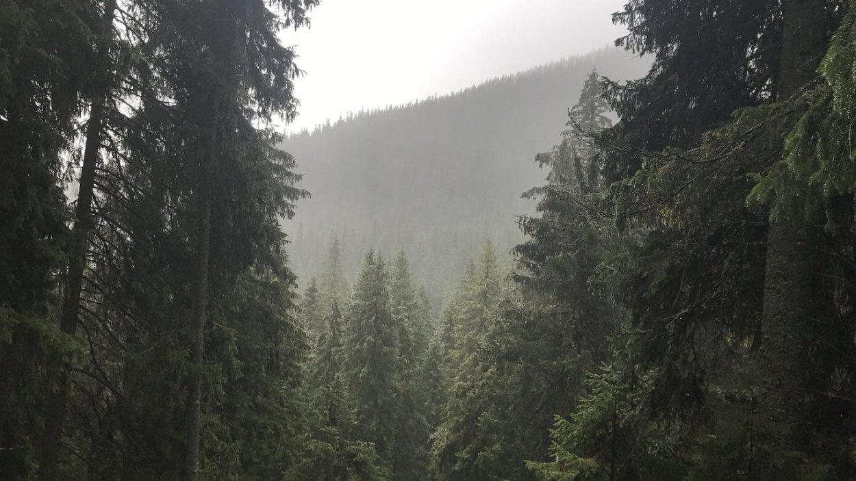 Карпаты Эстетика