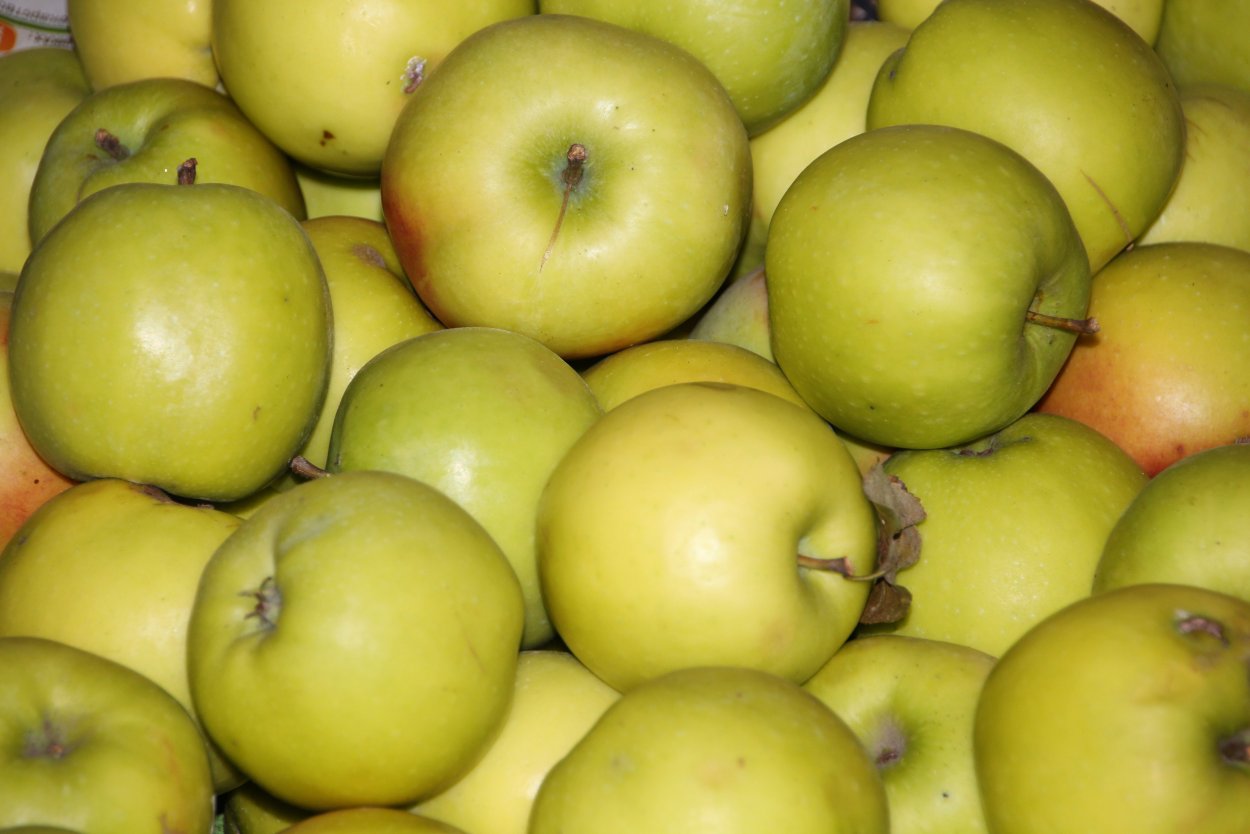 Яблоня Сибирская (Ранетки)