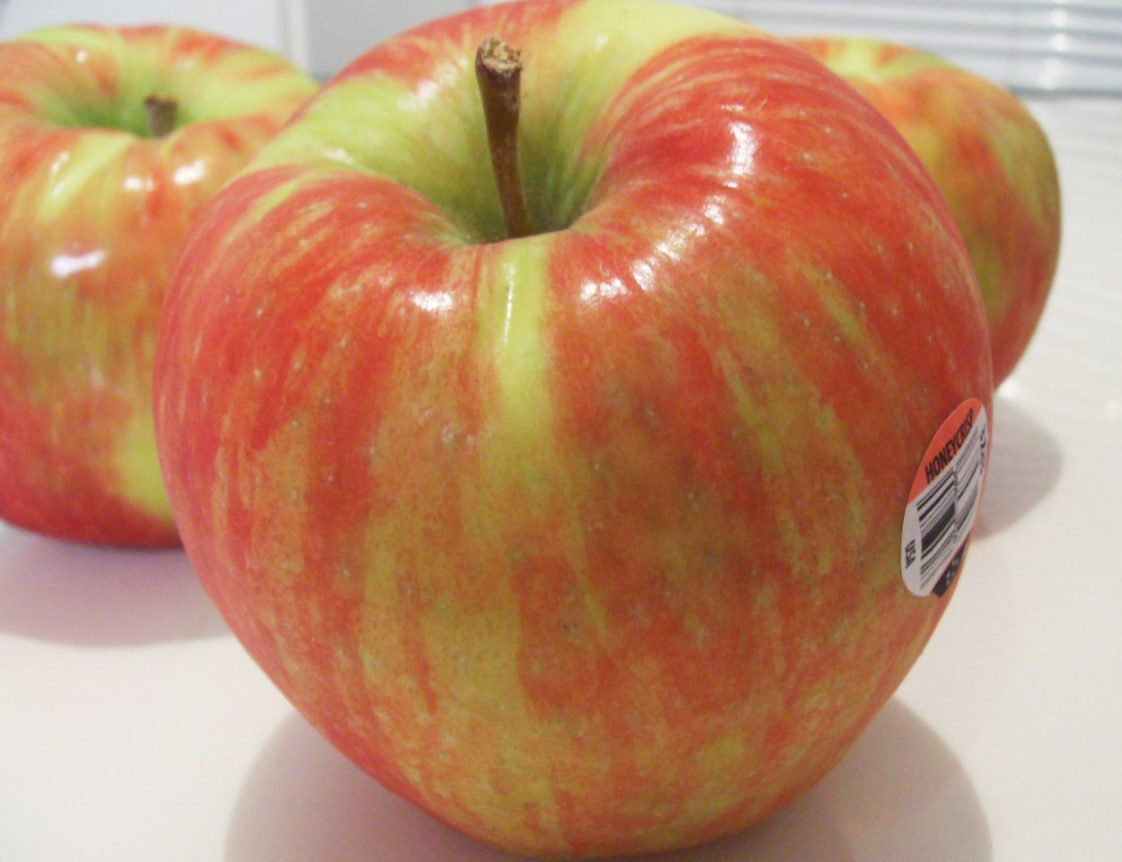 Сорт яблони Зорька