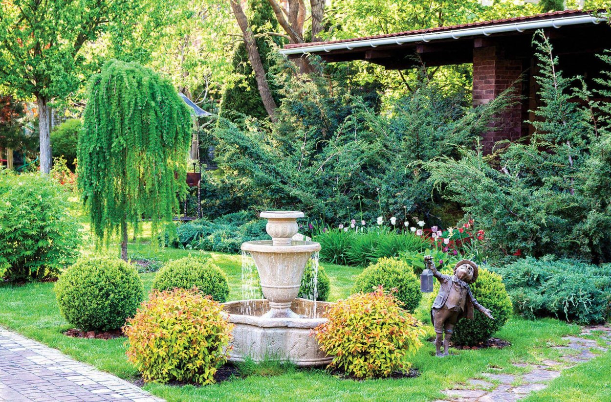 Ива плакучая в ландшафтном