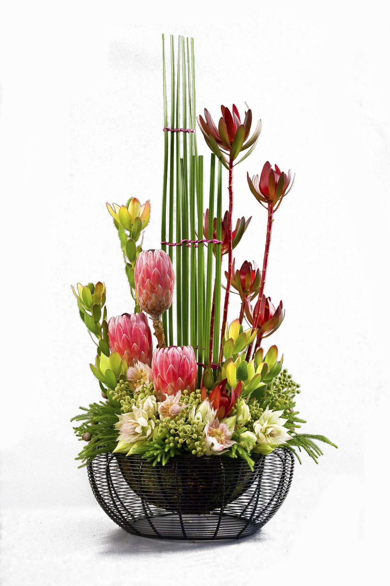 Гвоздика Ikebana