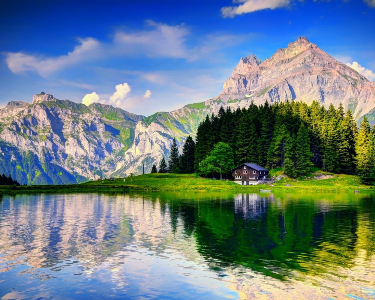 Озеро в лесу