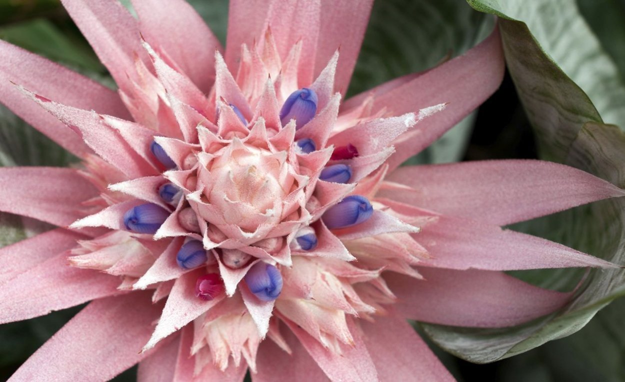 С 8 марта туфли