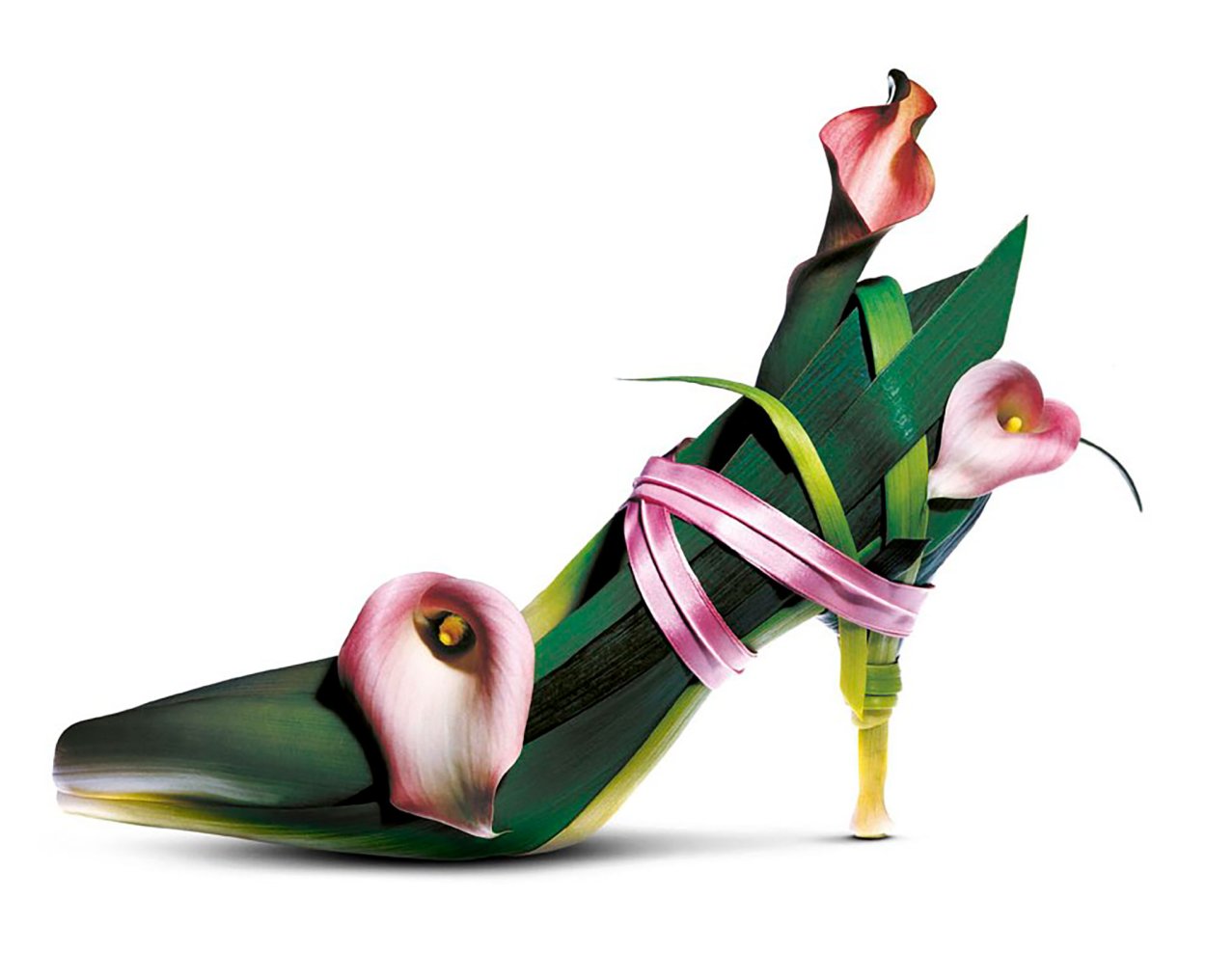 Бромелия Неорегелия