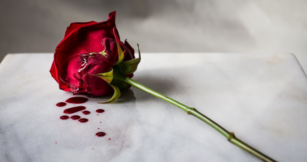 Засохший букет