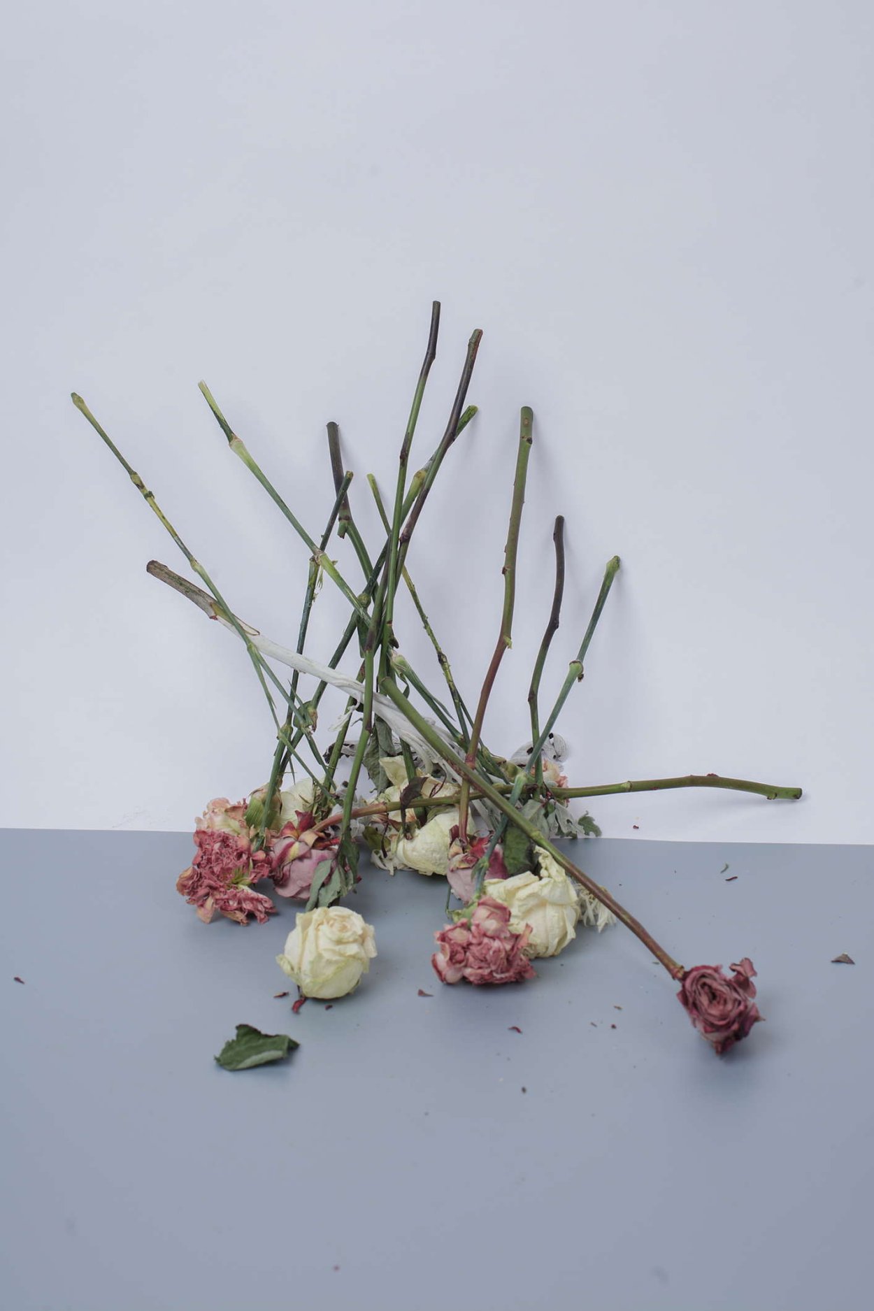 Охапка цветов в машине