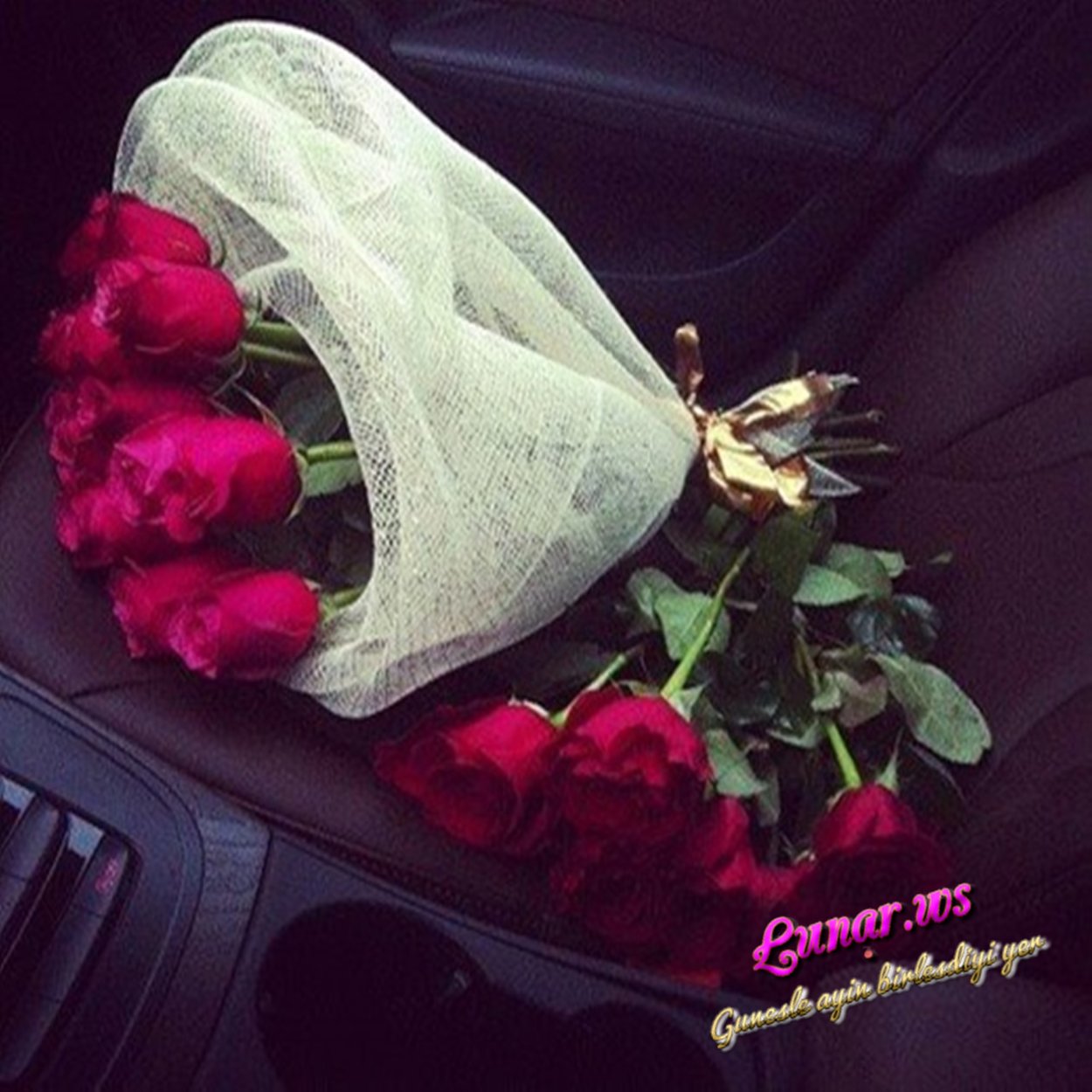 Засохшие цветы