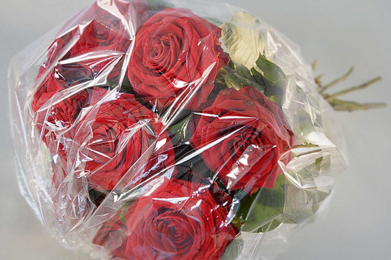 Роза в целлофане