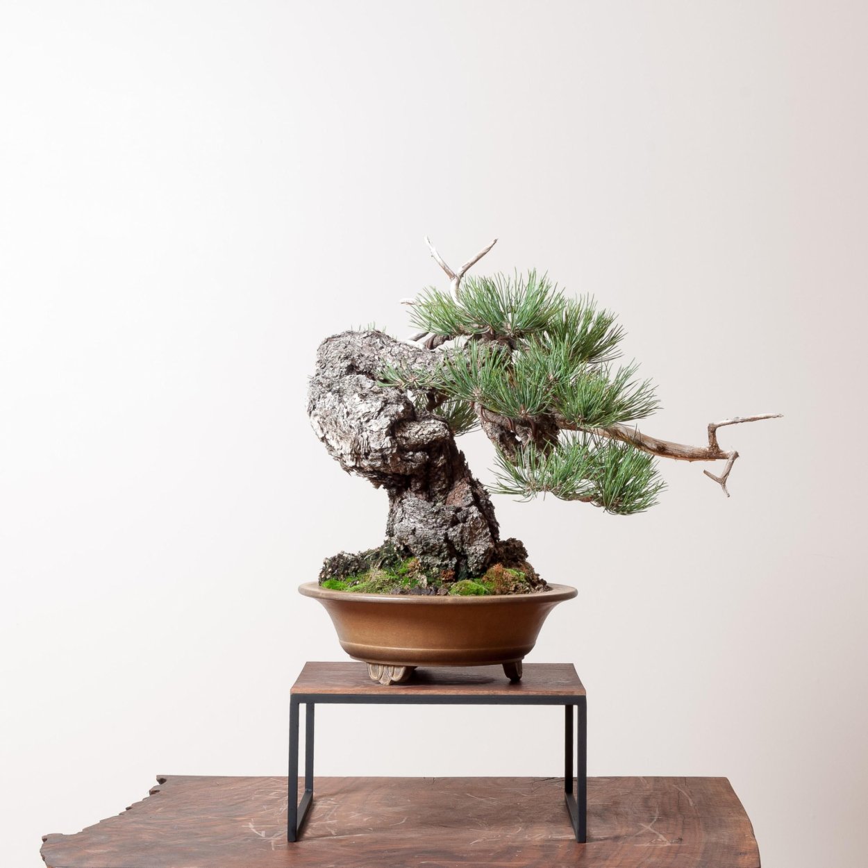 Бонсай сад Кобаяши