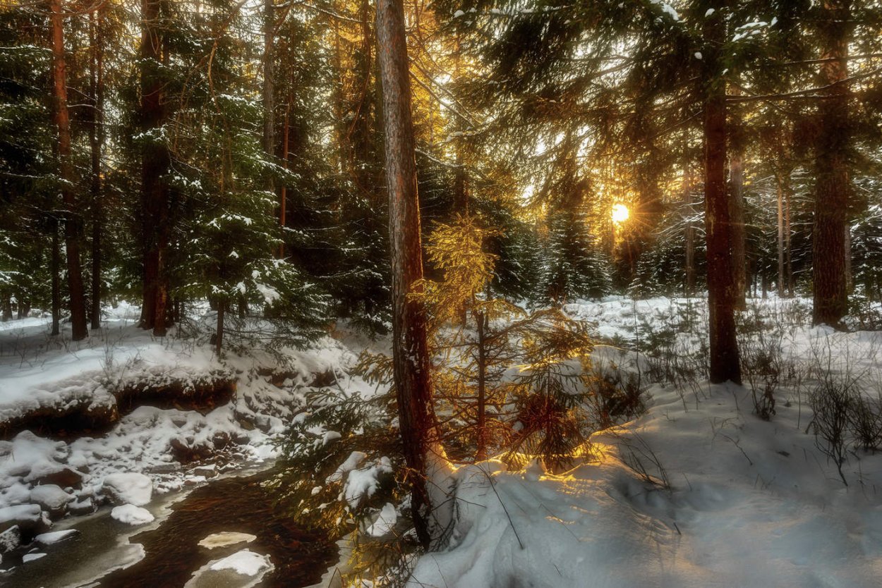 Сибирь весной