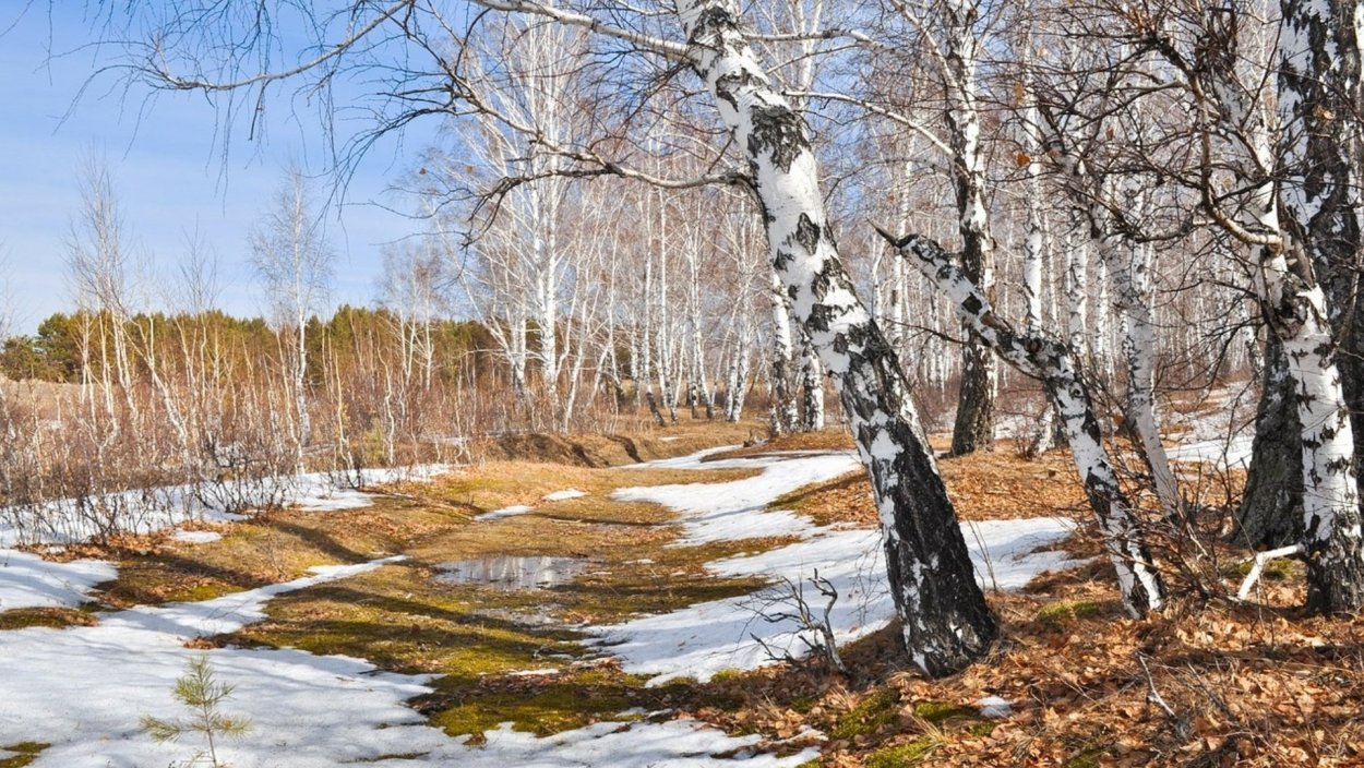 Март в Сибири