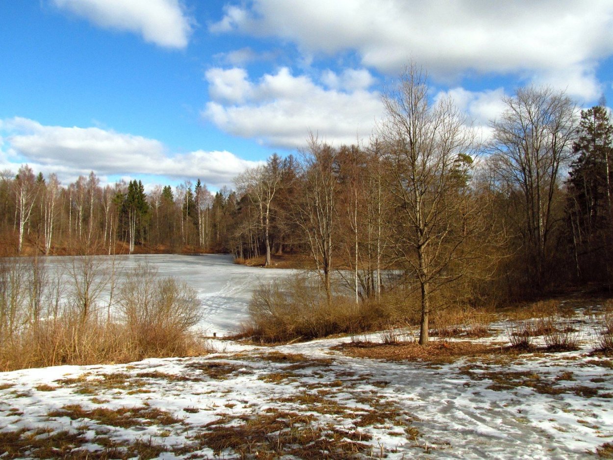 Весенняя природа средней полосы России