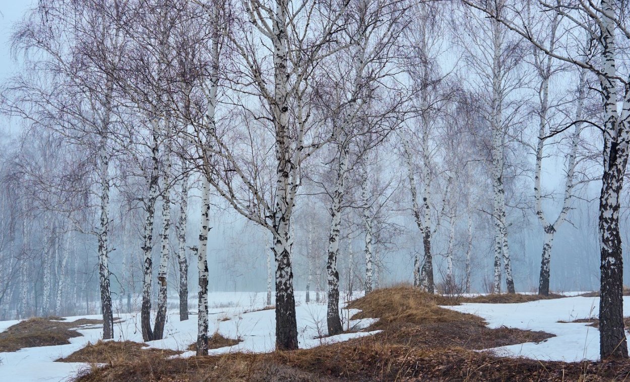 Ранняя Весна