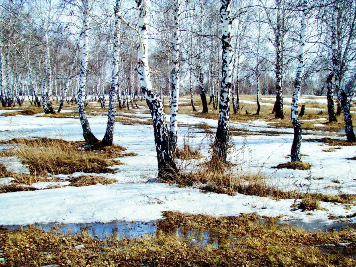 Ранняя Весна природа