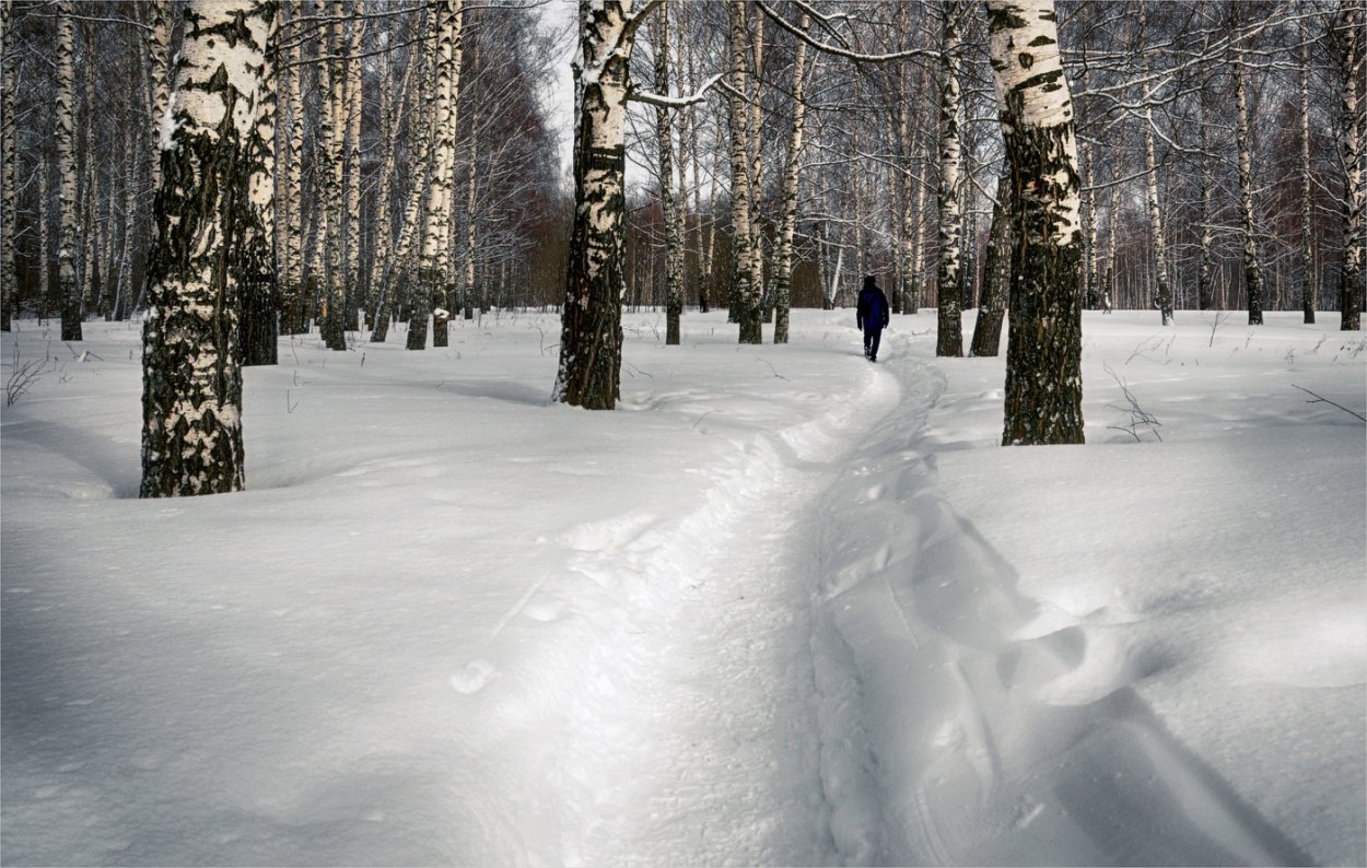 Весенний лес