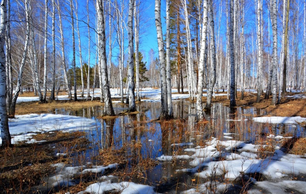 Проталинки Пушкин
