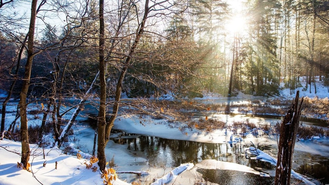 Апрельские проталины