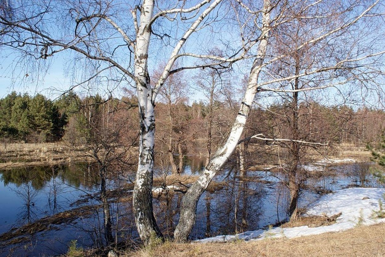 Весна деревня апрель проталины