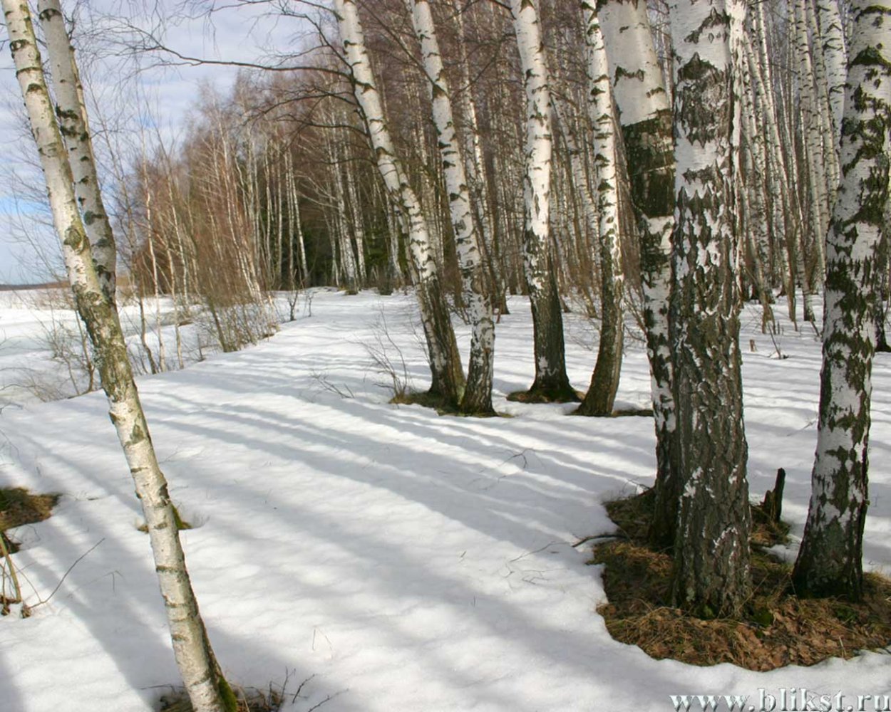 Весна март природа Россия