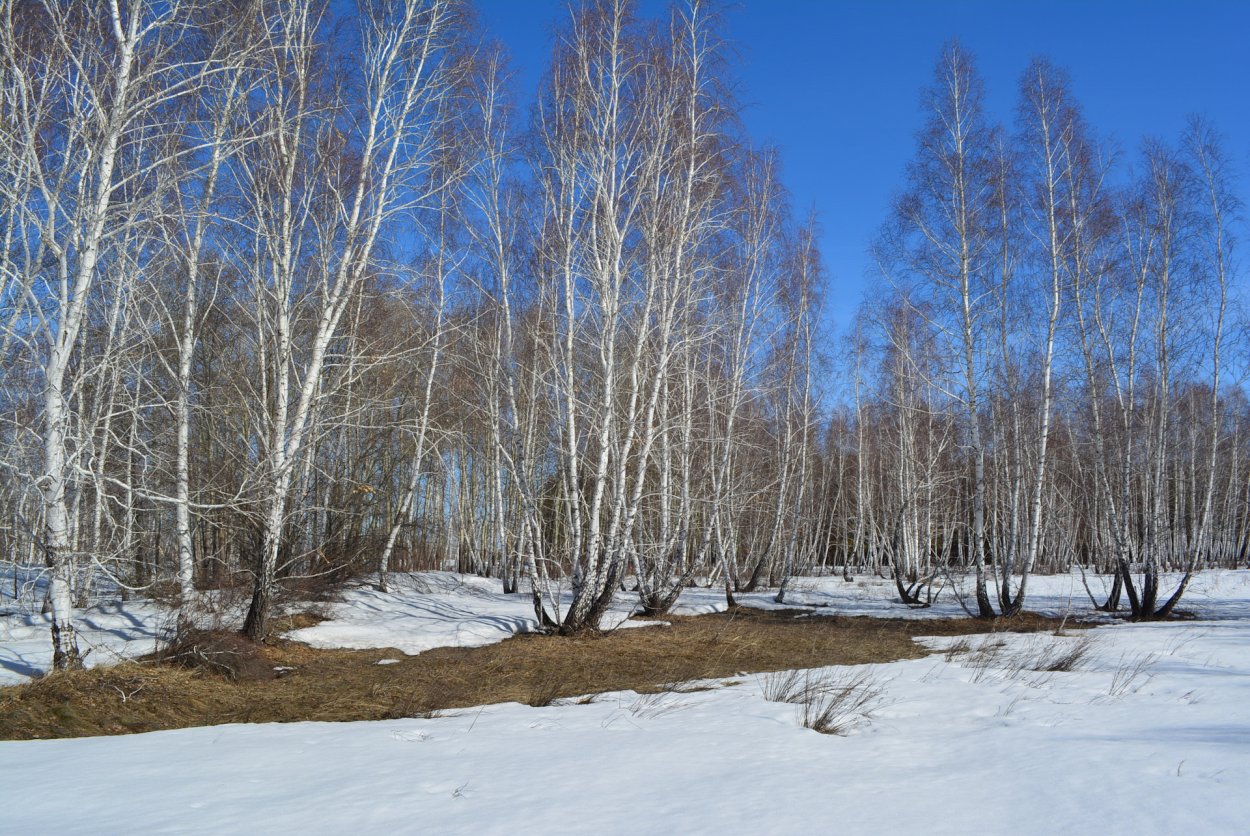 Зимнее настроение