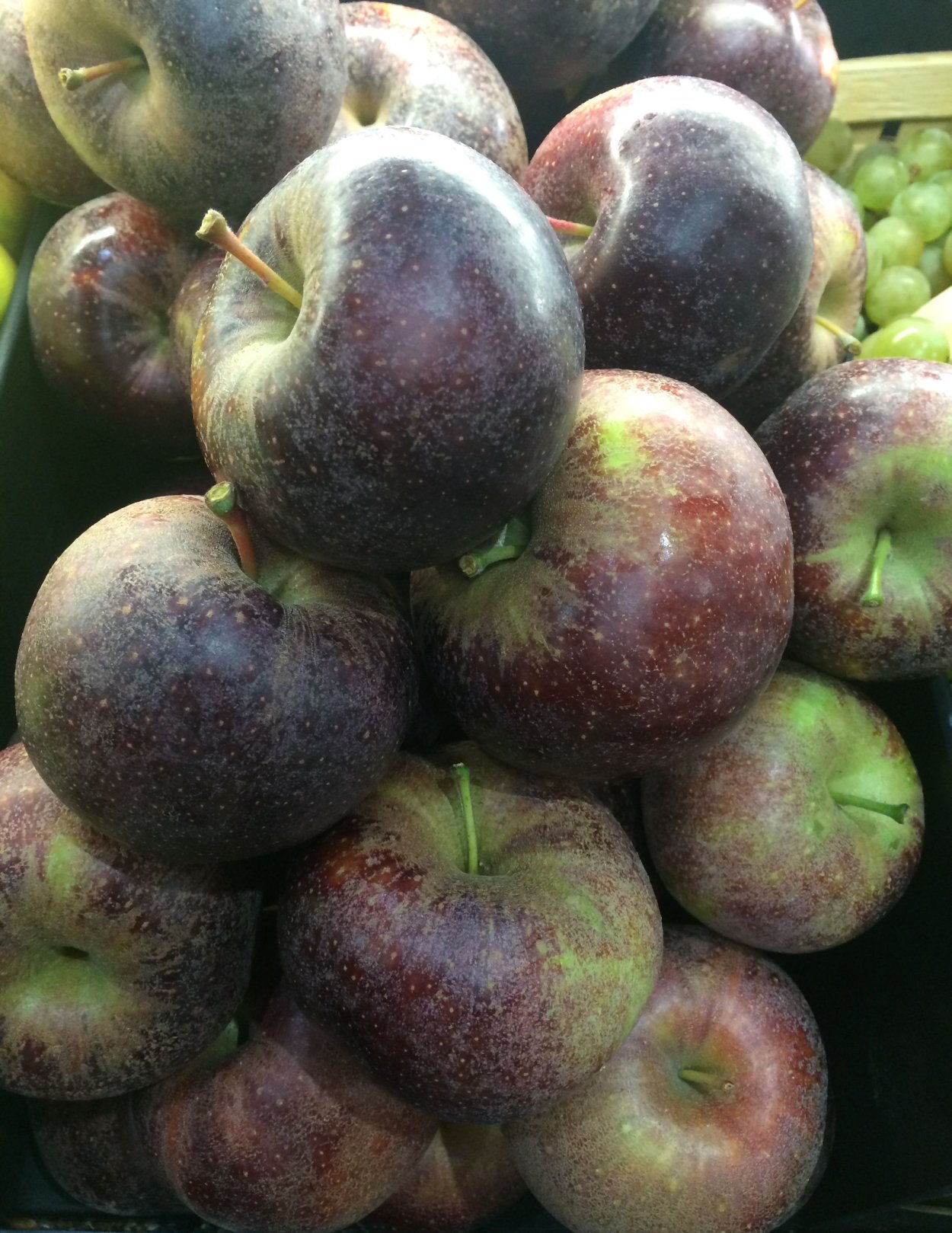 Яблоня черный Магнат