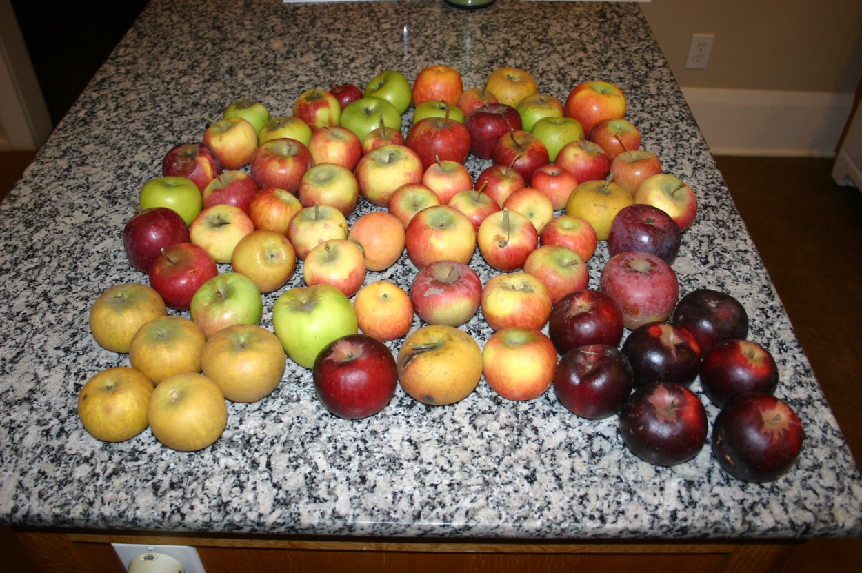 Apple Даймонд яблоко Блэк