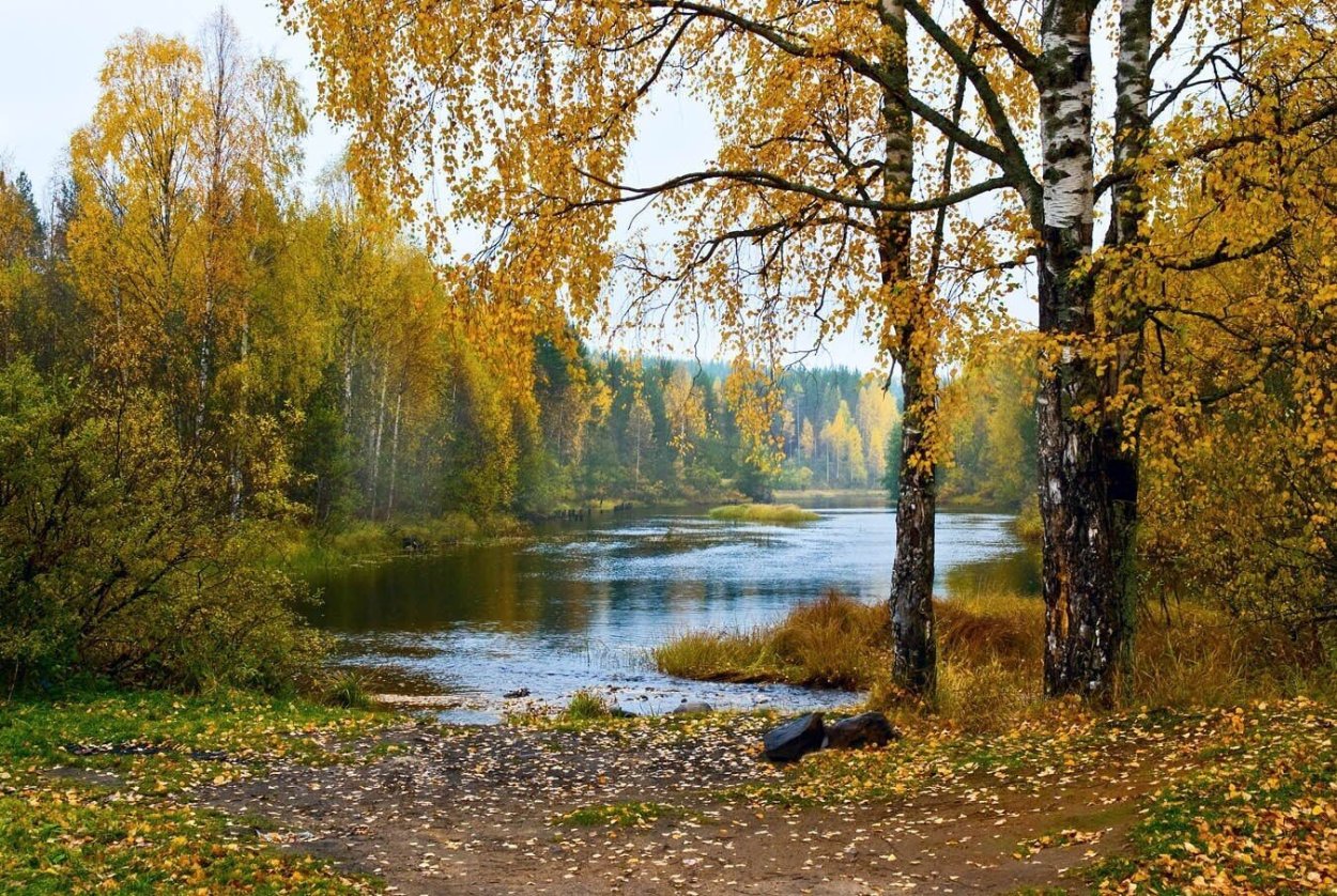 Ранняя осень в городе