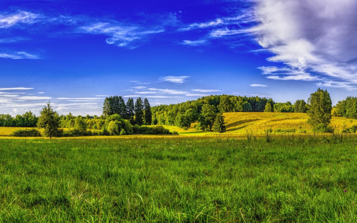 Красивые девушки летом