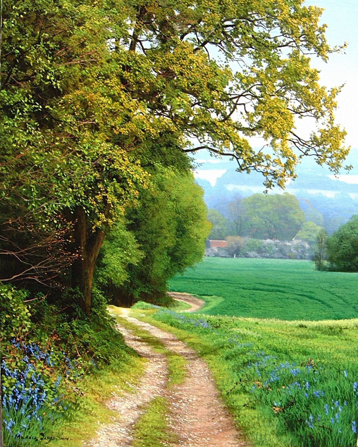 Васильки в пшеничном поле