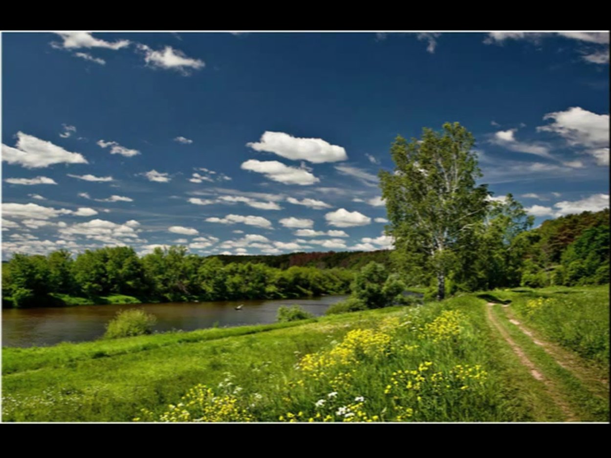 Девушка летом со спины